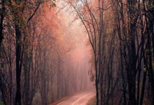 攀岩队选拔赛检验冬训成果 周娅菲、杨杰夺冠.