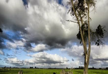 AYX：[欧冠]扑倒菲利克斯被判点 科申科夫将点球扑出.