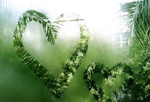 AYX:CBA常规赛个人奖项评选出炉:胡金秋MVP领衔最佳阵容.