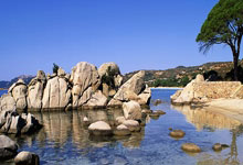 AYX:每体:巴萨希望和巴勃罗-托雷续约一年,以便未来将他外租.